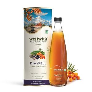 Wellwith Diawell  300ml (Diabowin) Karela & Jamun Diabetic Care Juice with Seabuckthorn | Chirata and Punarnava | Ayurvedic | Makes Upto 50 Glass Juice (300ml, Pack of 1)